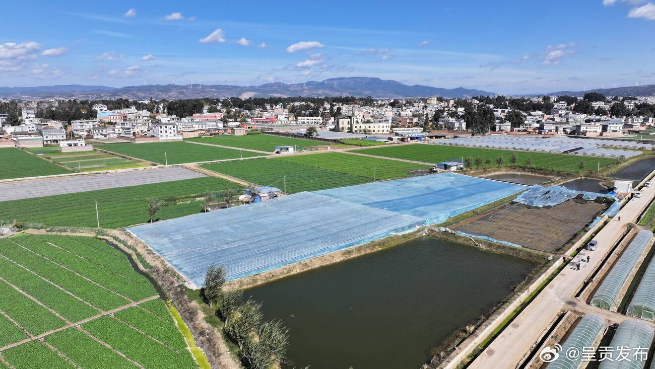 陆良：“空调房”让罗氏虾温暖过冬