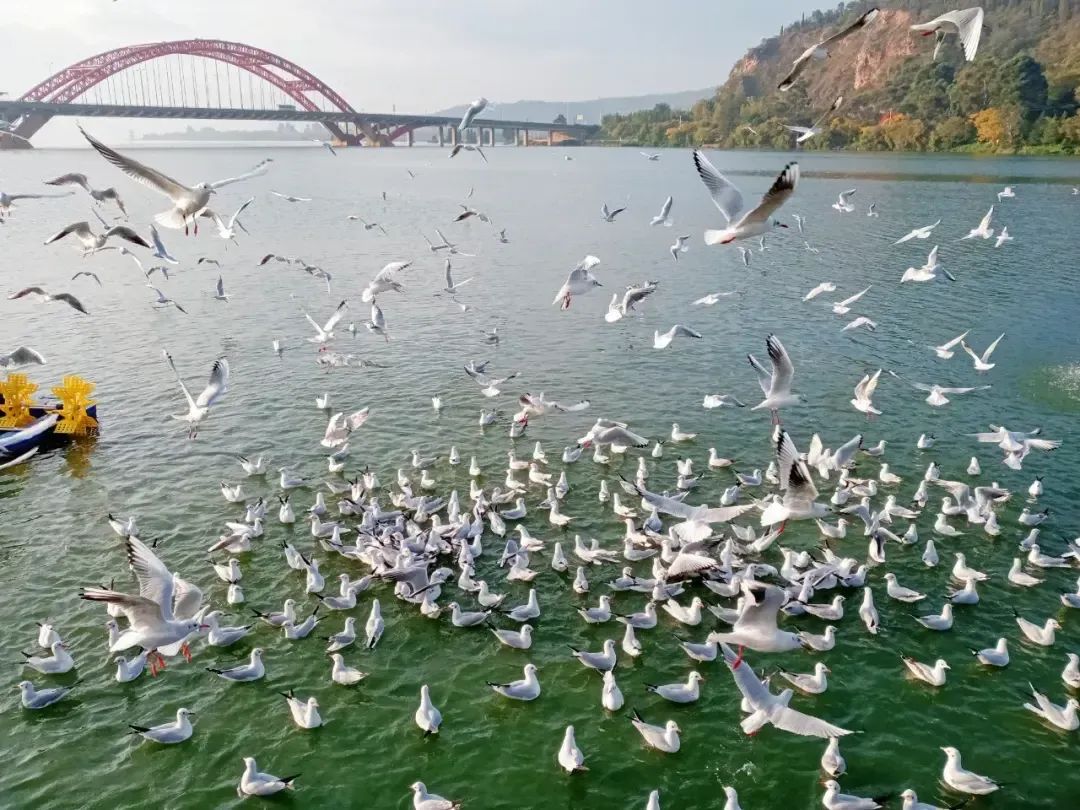 昆明广播电视台经济生活频道