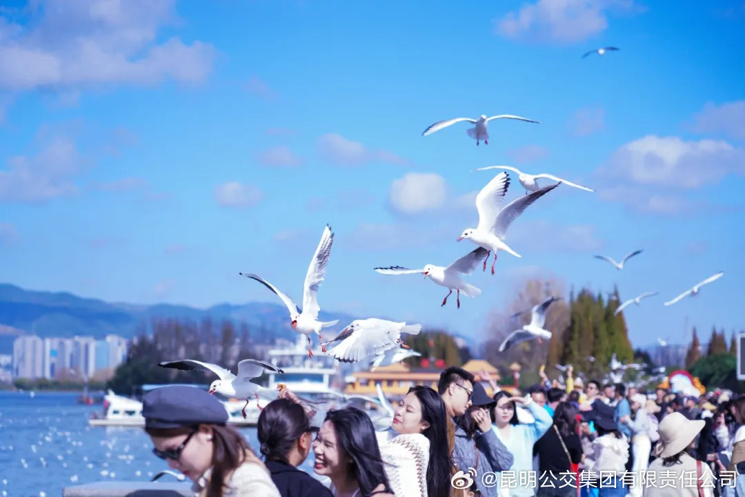 昆明公交集团有限责任公司