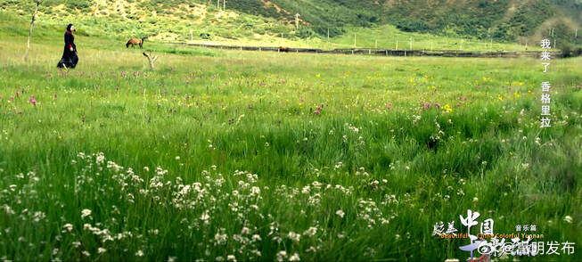 《炫美中国·七彩云南》音乐篇丨我来了 香格里拉