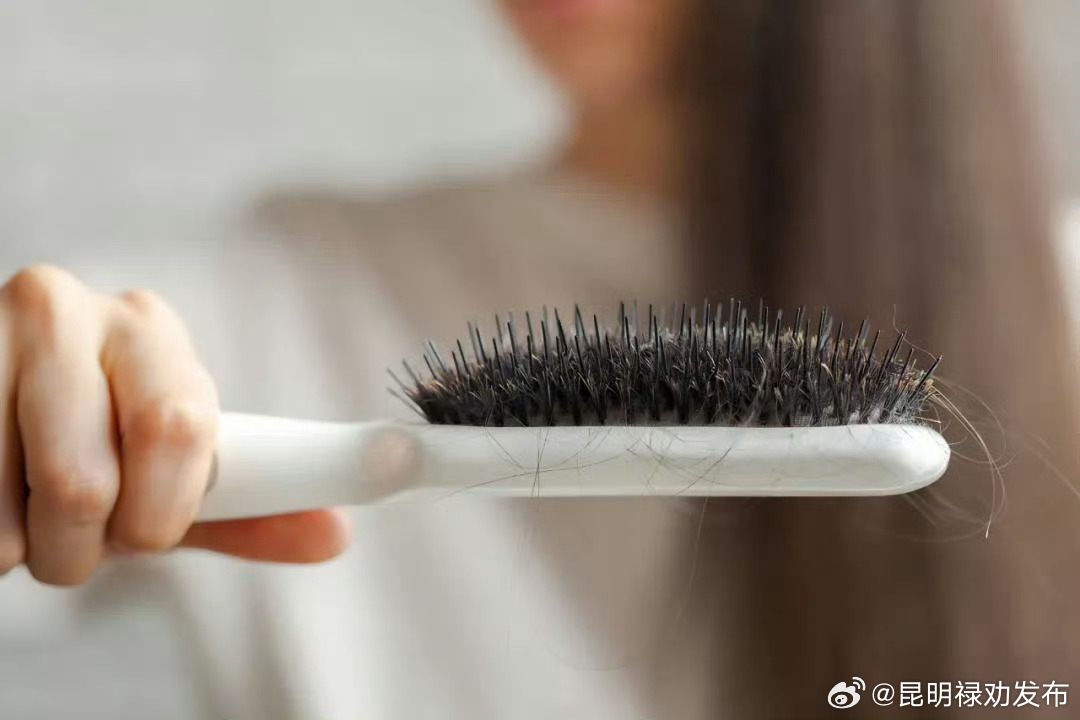 头发变细软是头皮老了的表现 