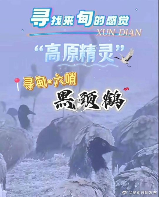 寻找来“甸”的感觉：寻甸六哨 冬日鹤鸣