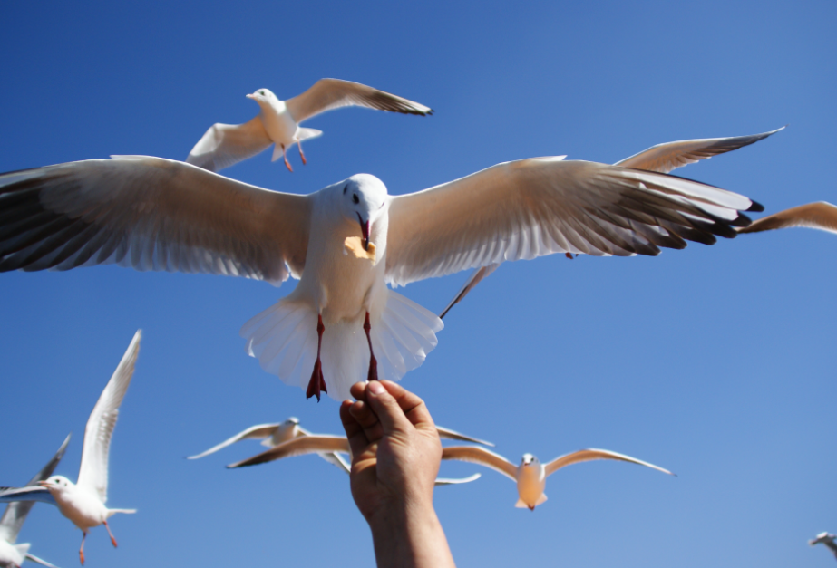 FM954汽车音乐广播