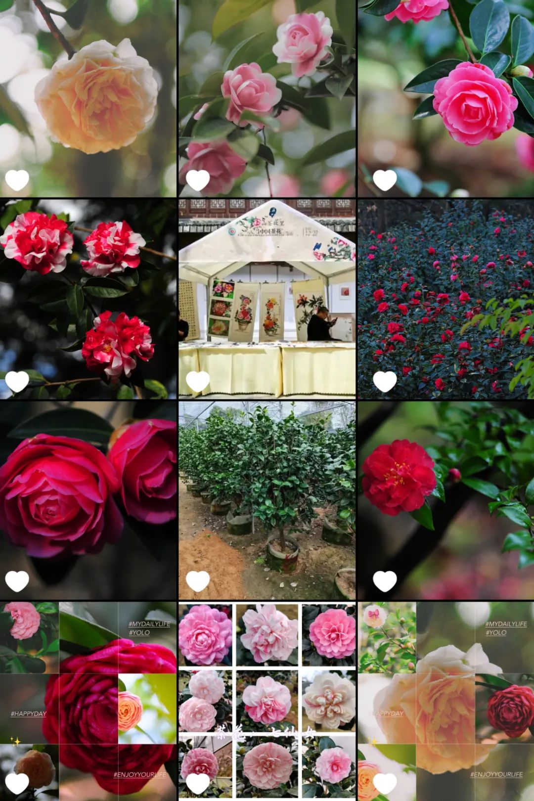 昆明市金殿名胜区