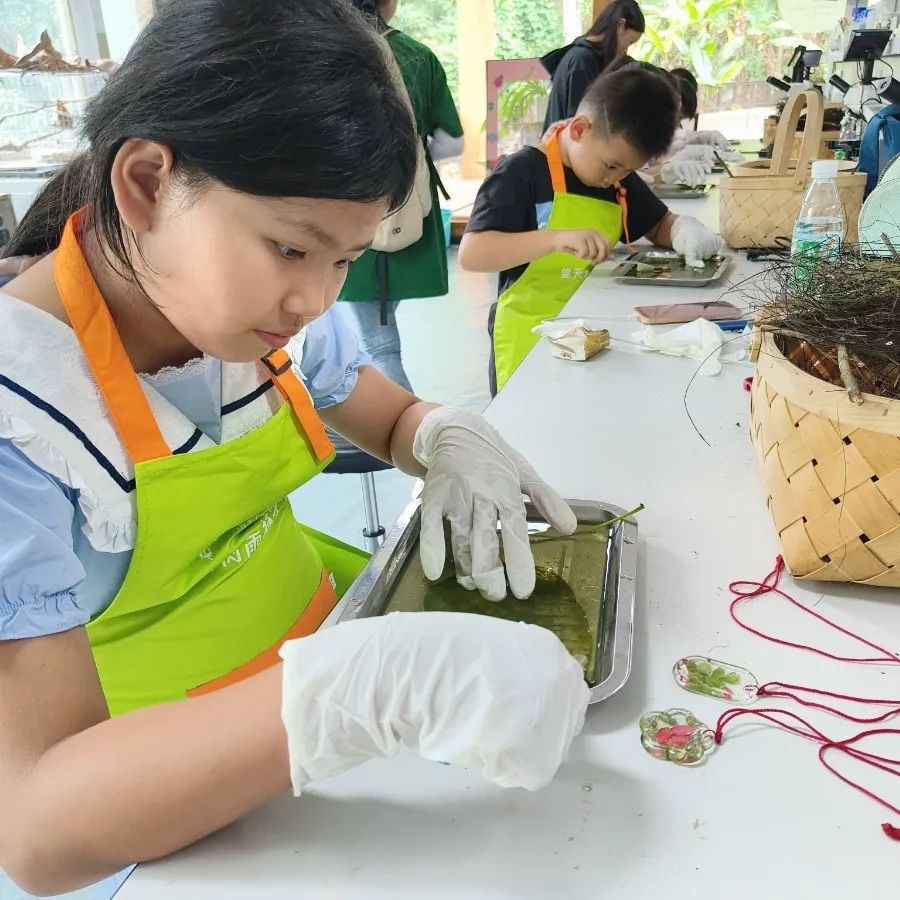 西双版纳望天树景区