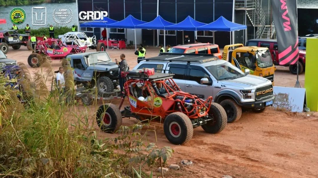 西双版纳望天树景区