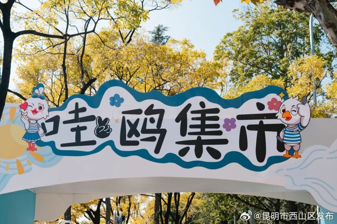 昆明市西山区发布