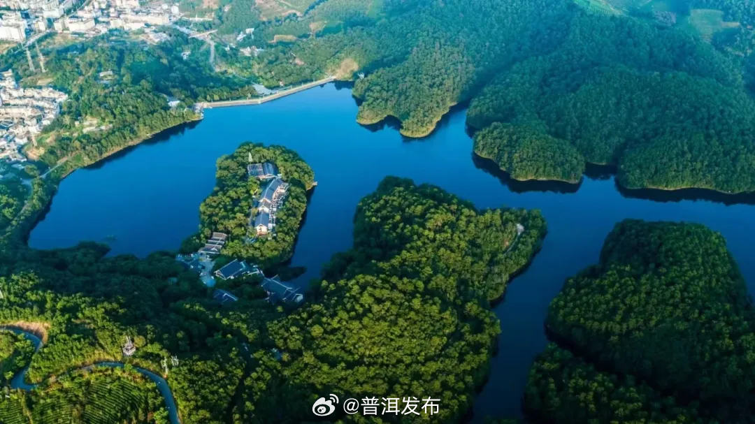 守护美好生态家园 共筑野生动植物乐园——普洱市扎实推进生物多样性保护工作