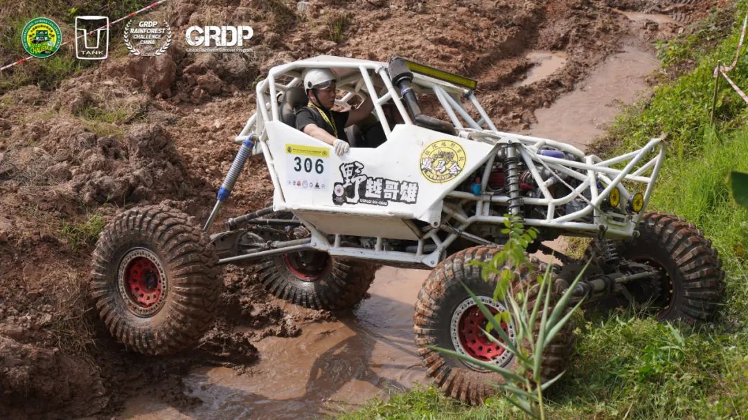 西双版纳望天树景区