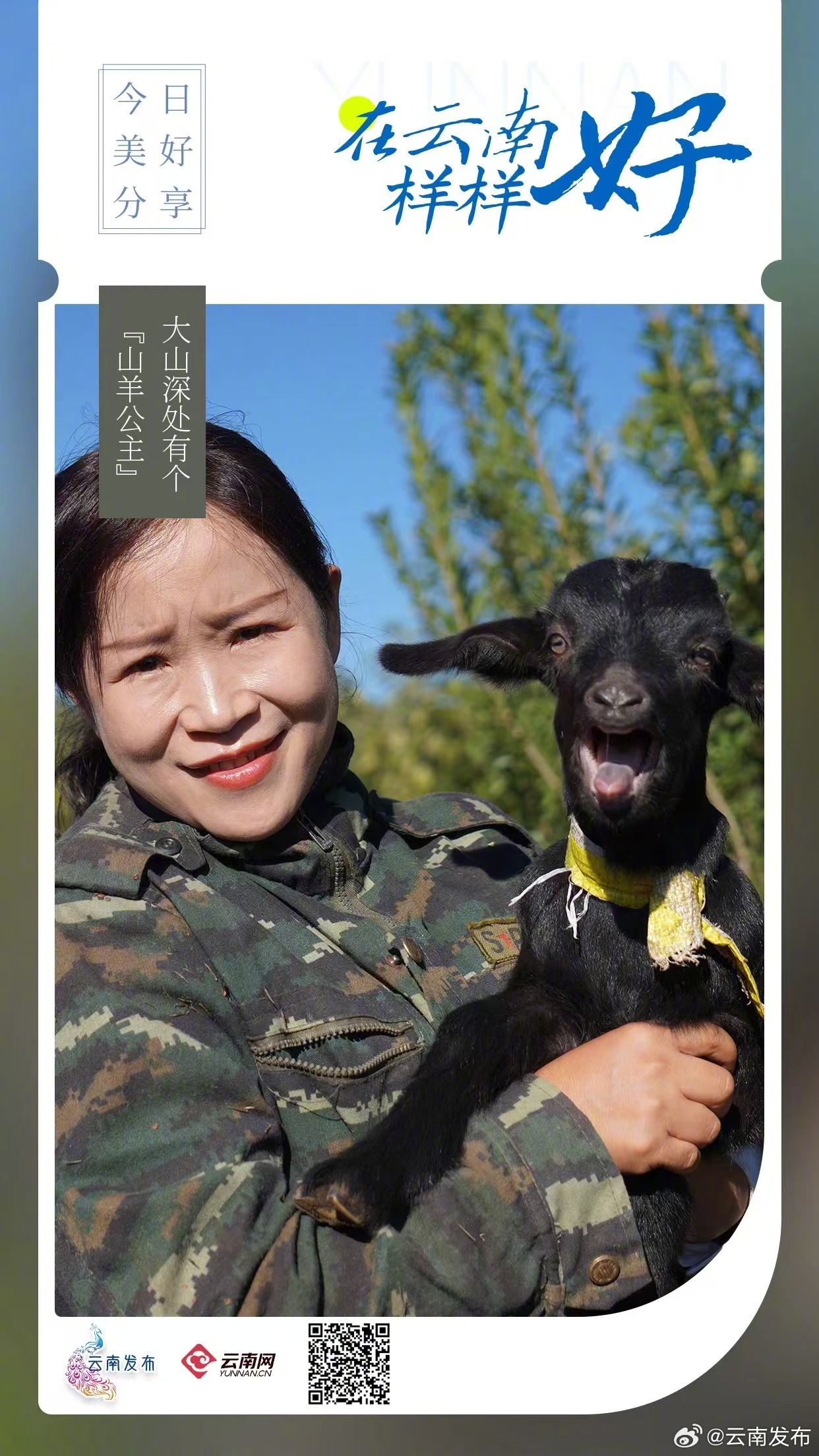 楚雄大山深处有个山羊公主