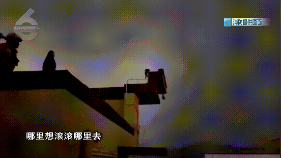 8099999街头巷尾微信