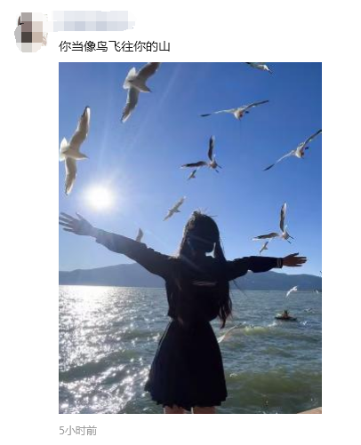 8099999街头巷尾微信