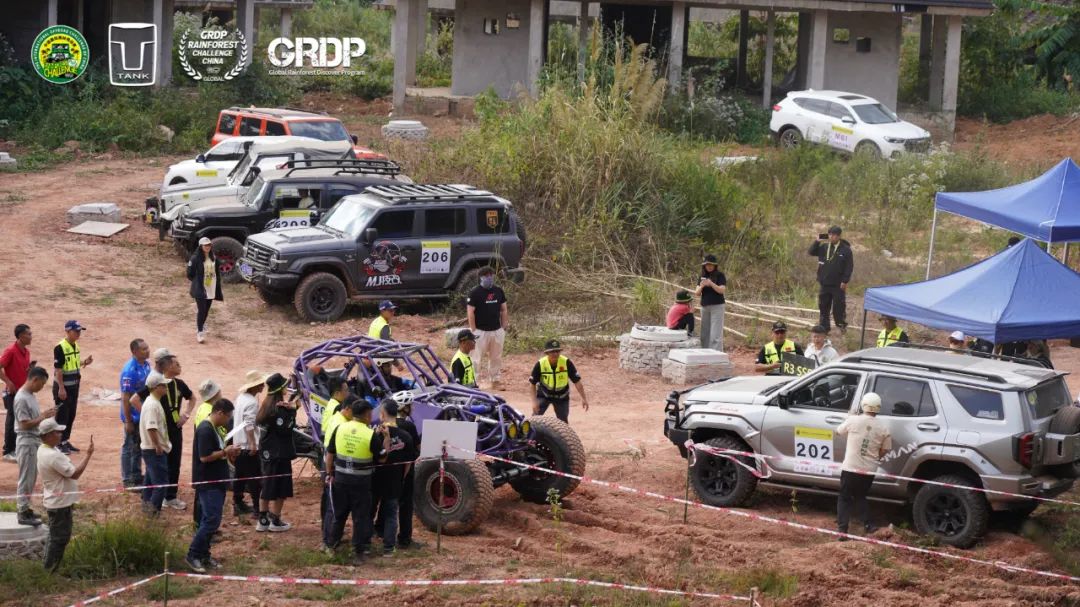 西双版纳望天树景区