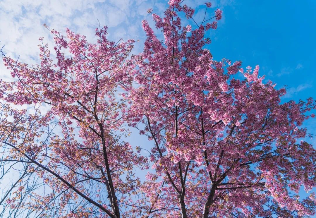 晋宁 诗意的栖居地