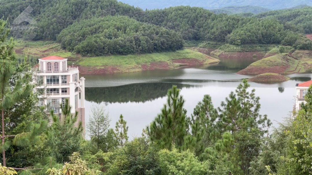 8099999街头巷尾微信