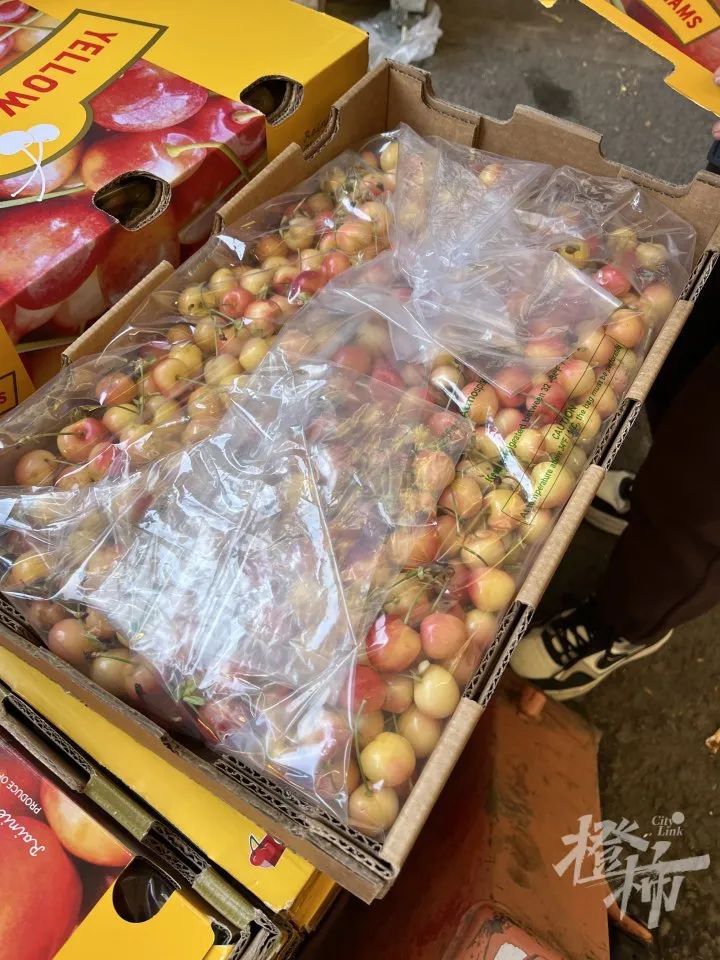 掌上春城微信