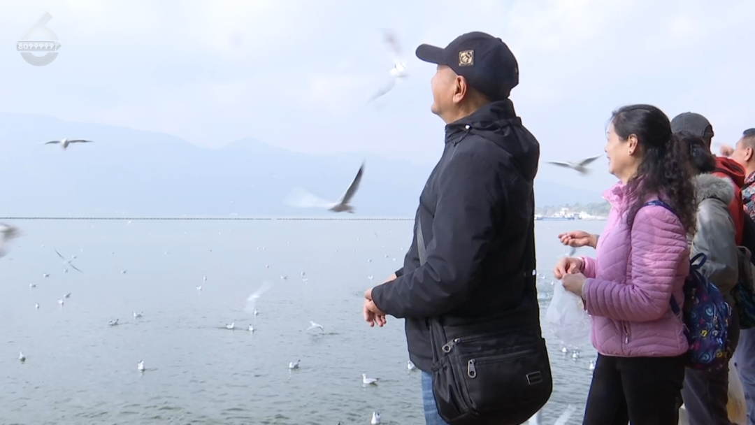 8099999街头巷尾微信