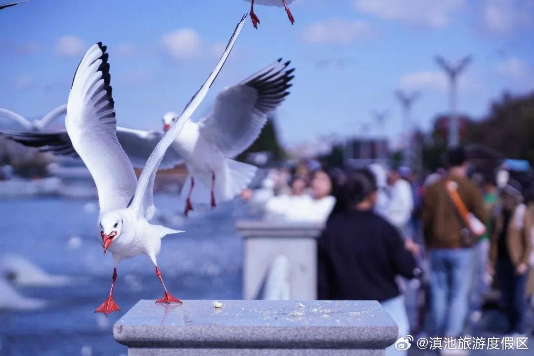 滇池旅游度假区
