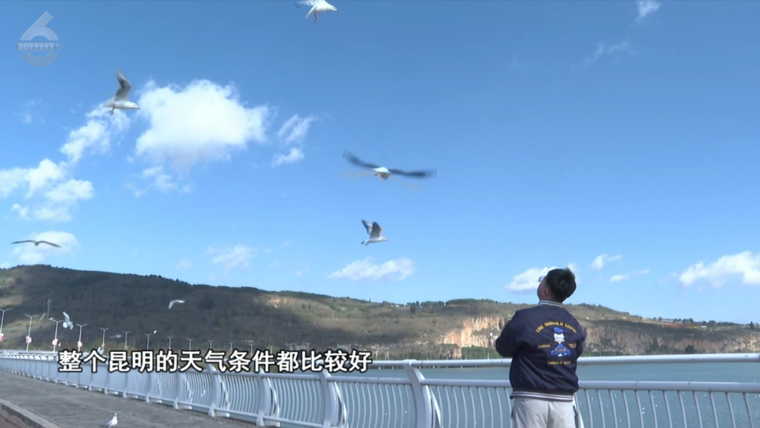 掌上春城微信