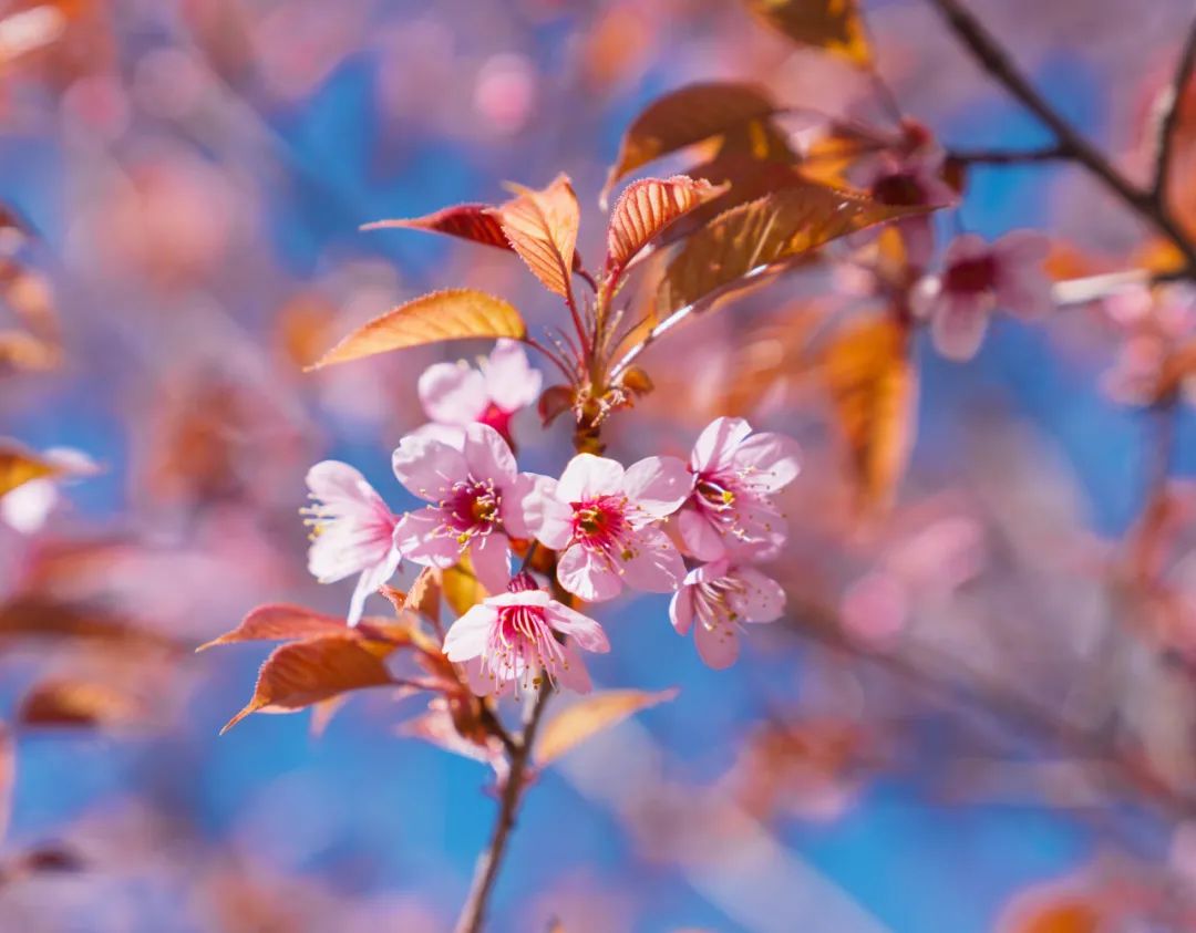 晋宁 诗意的栖居地