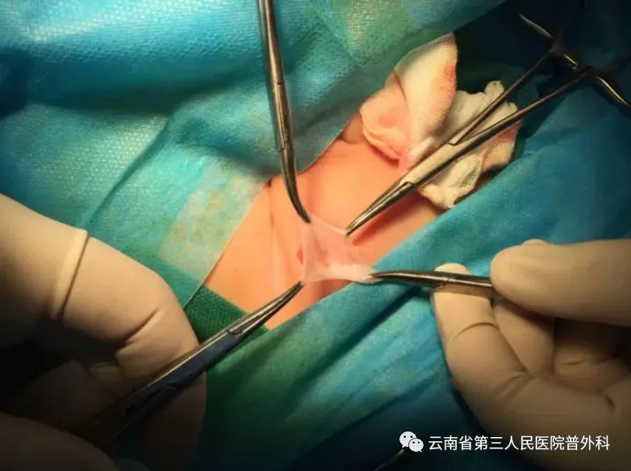 云南省第三人民医院