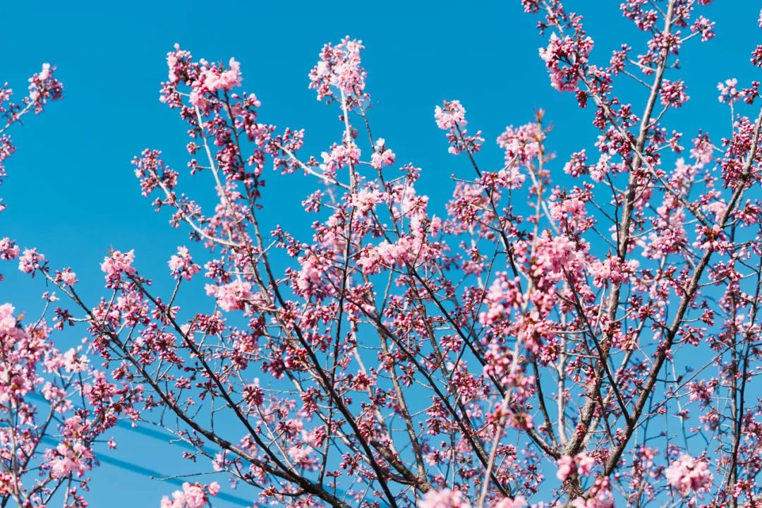 晋宁 诗意的栖居地