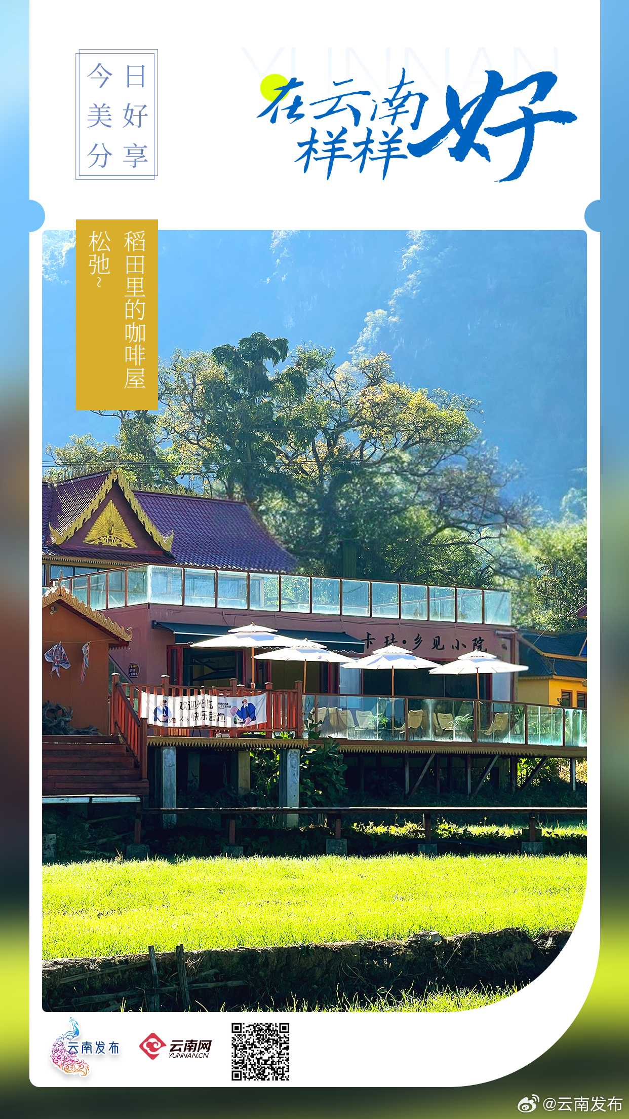 想去！临沧稻田里的咖啡屋松弛感拉满