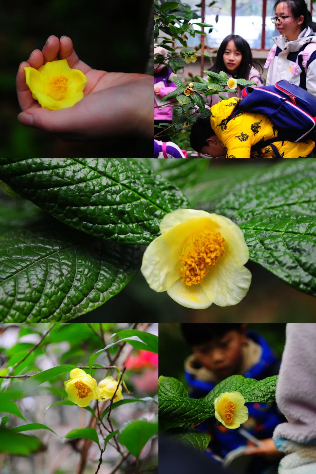 昆明市金殿名胜区