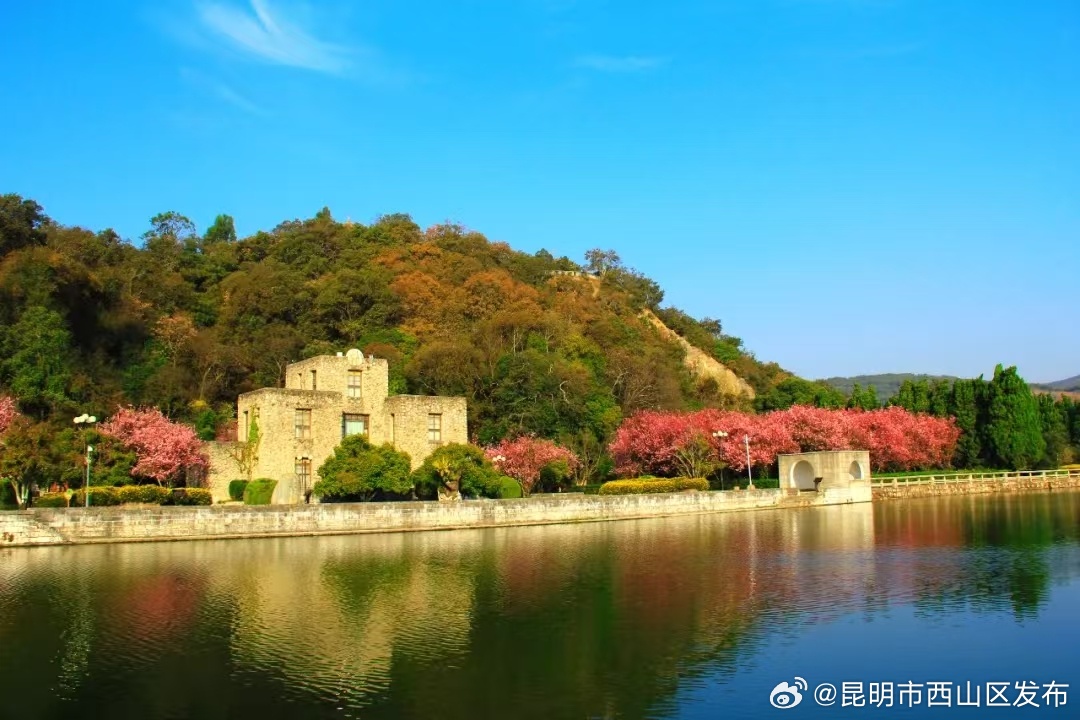 昆明市西山区发布