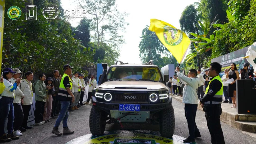 西双版纳望天树景区
