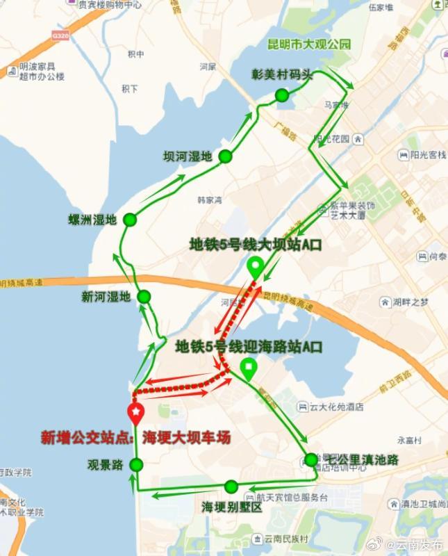 昆明增加海埂大坝免费观鸥专线停靠站点