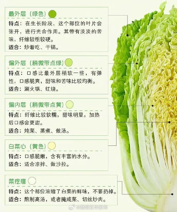 冬天的白菜为什么比夏天的好吃 