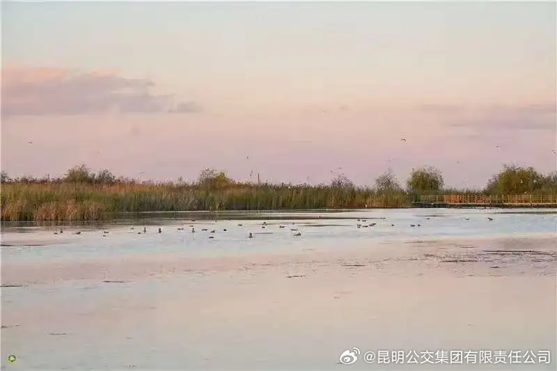 昆明公交集团有限责任公司