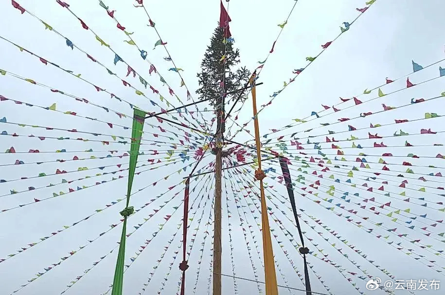 时间已定！红河又要过节了