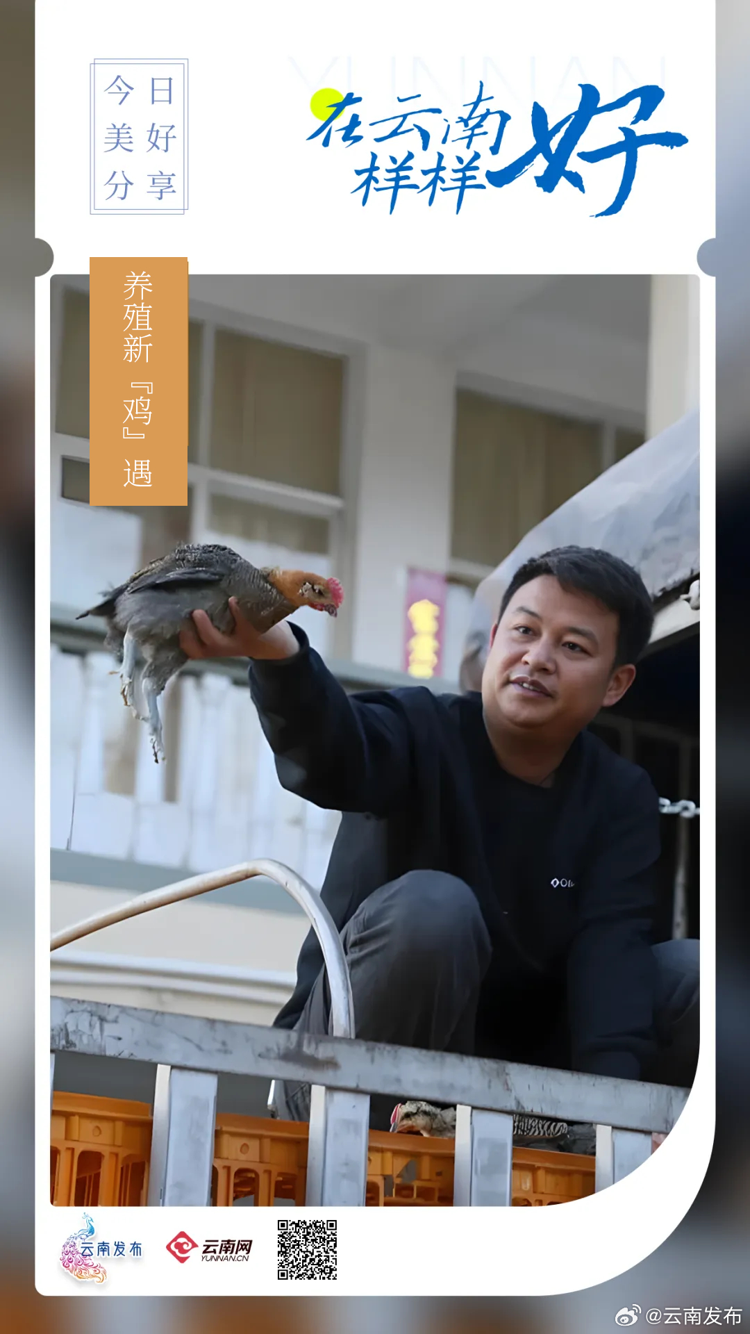 养殖新“鸡”遇！