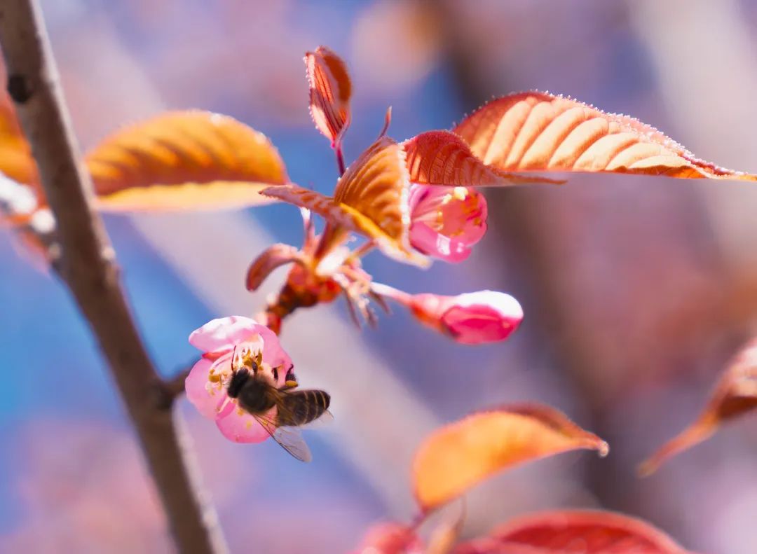 晋宁 诗意的栖居地
