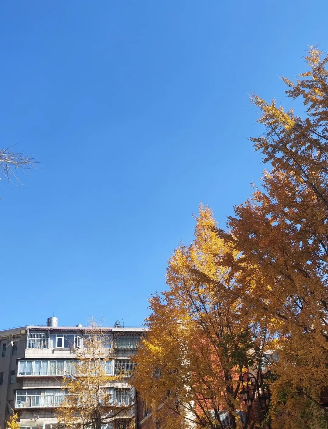 8099999街头巷尾微信