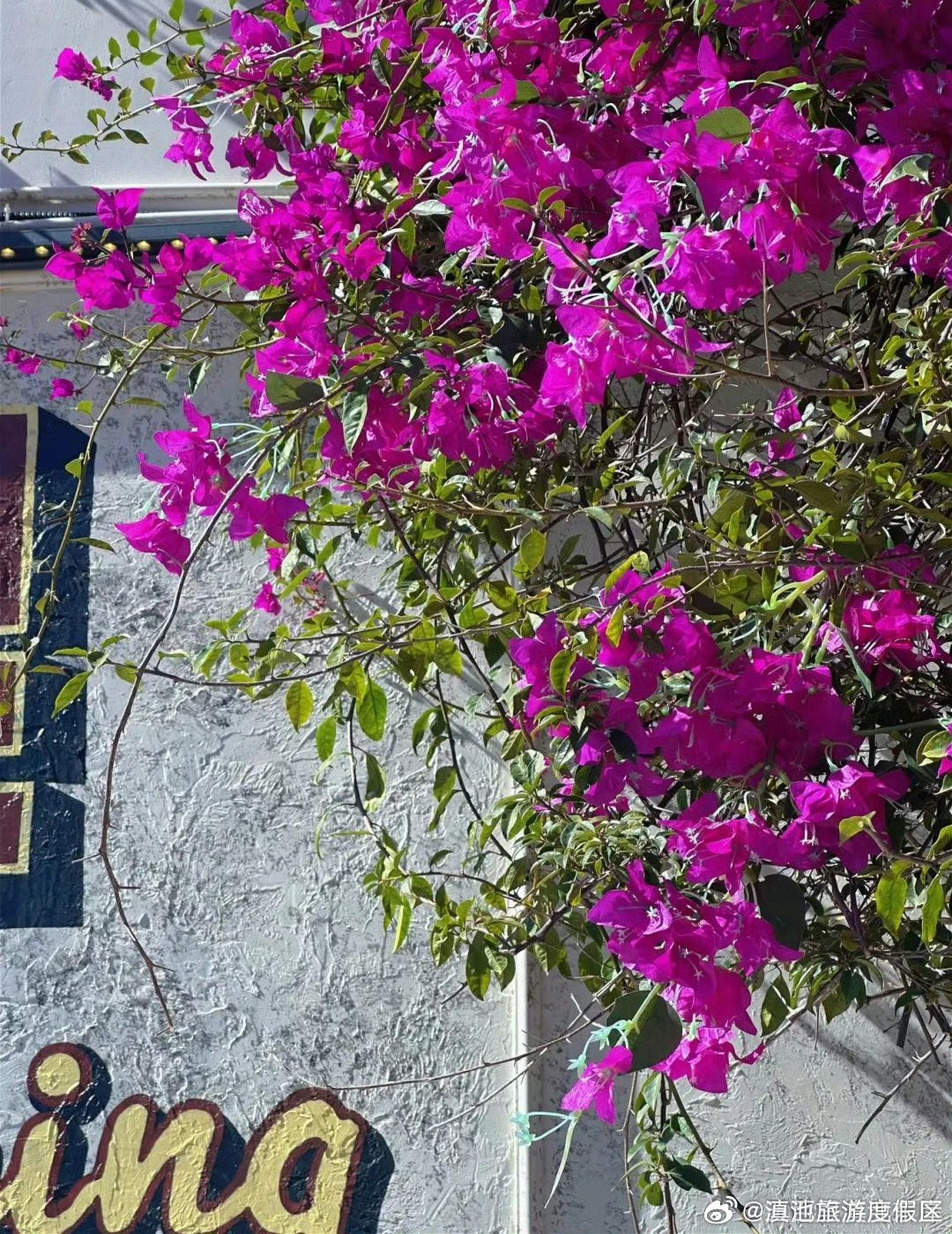 滇池旅游度假区