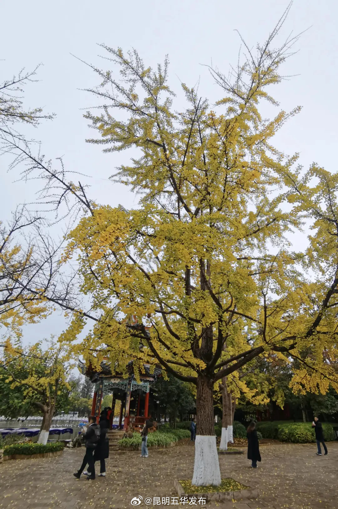 昆明五华发布
