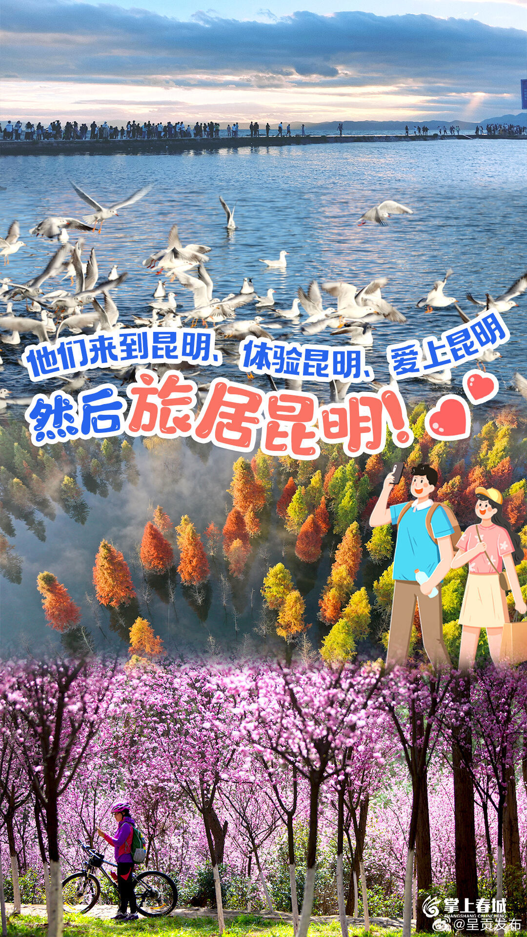 他们来到昆明、体验昆明、爱上昆明，然后旅居昆明！