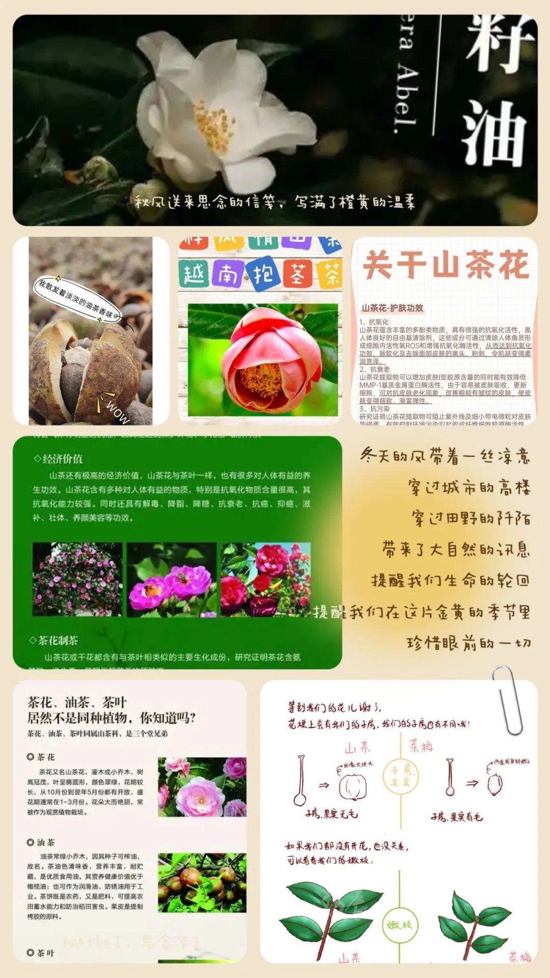 昆明市金殿名胜区