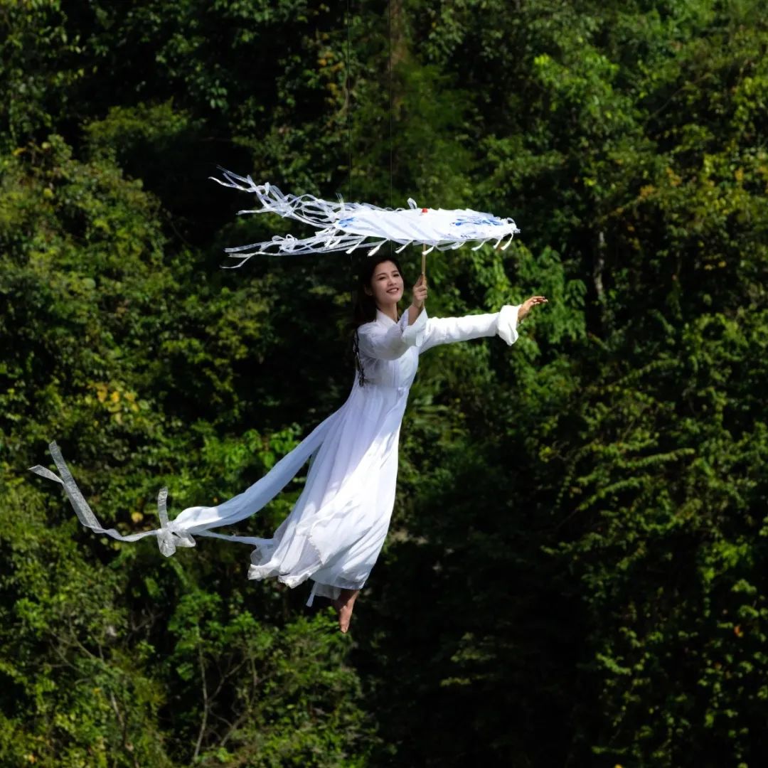 西双版纳望天树景区