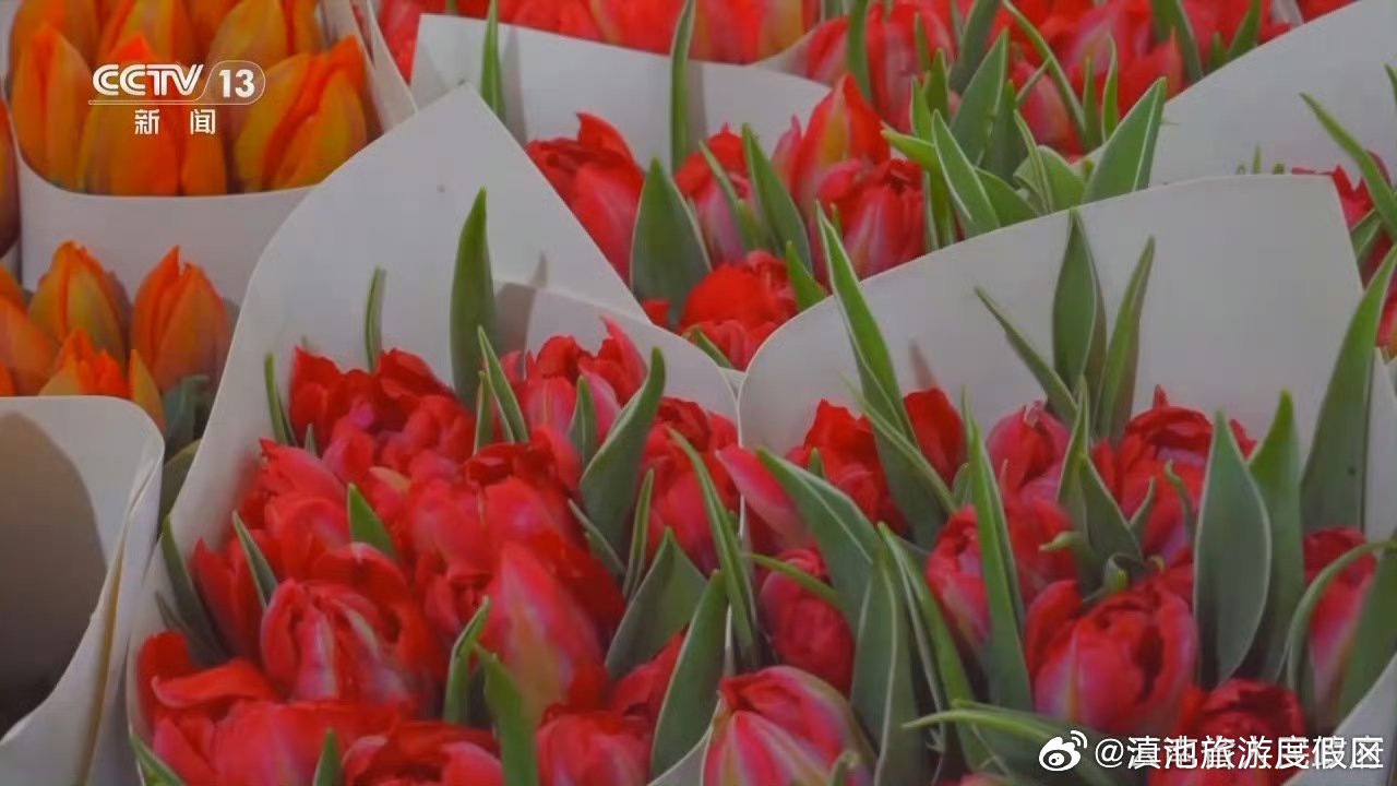 滇池旅游度假区