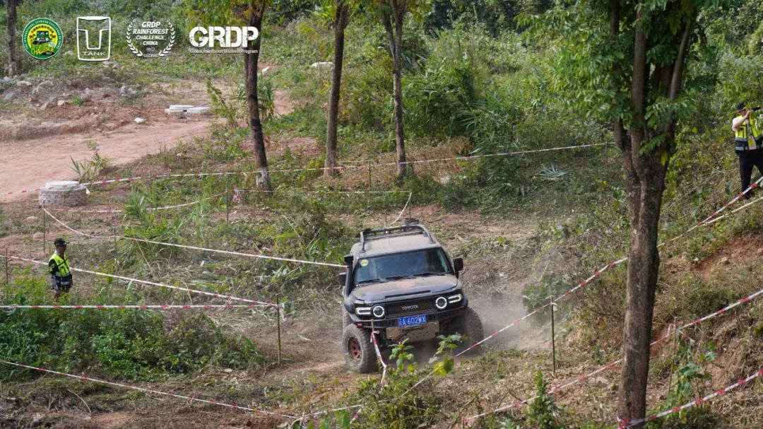 西双版纳望天树景区