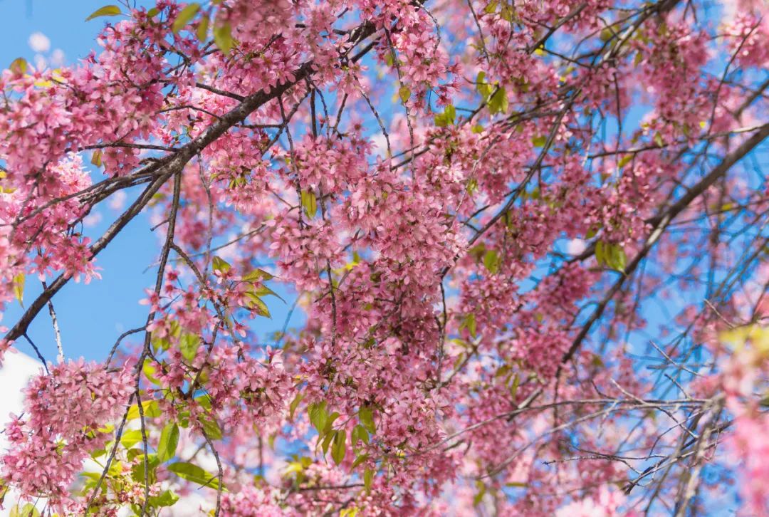 晋宁 诗意的栖居地