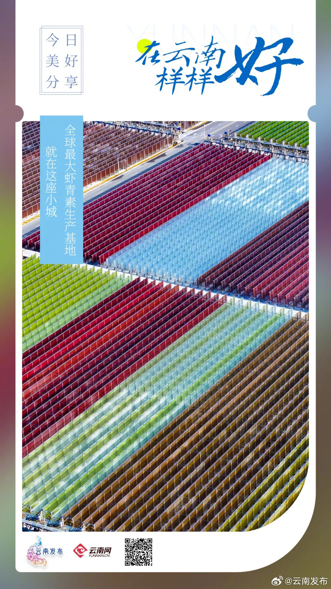 云南发布
