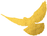 昆明市妇幼保健院