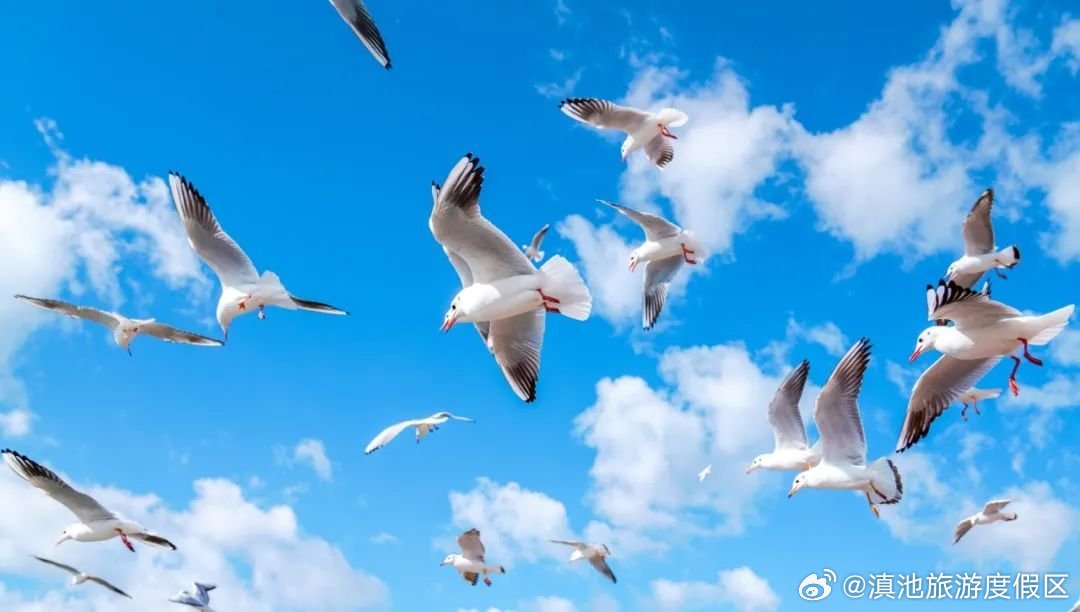 滇池旅游度假区