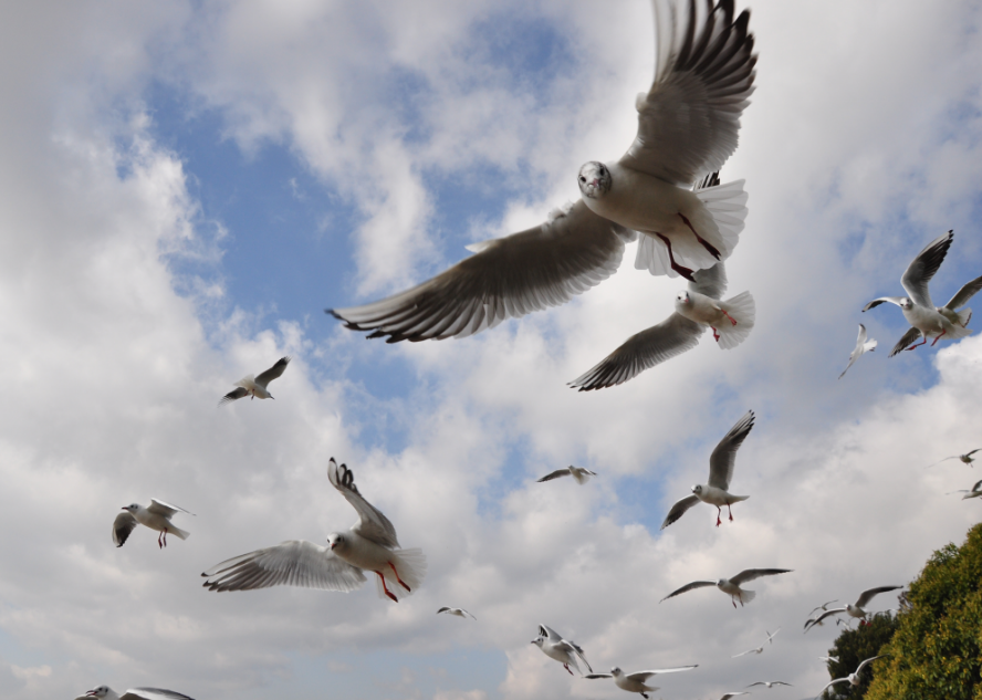 FM954汽车音乐广播