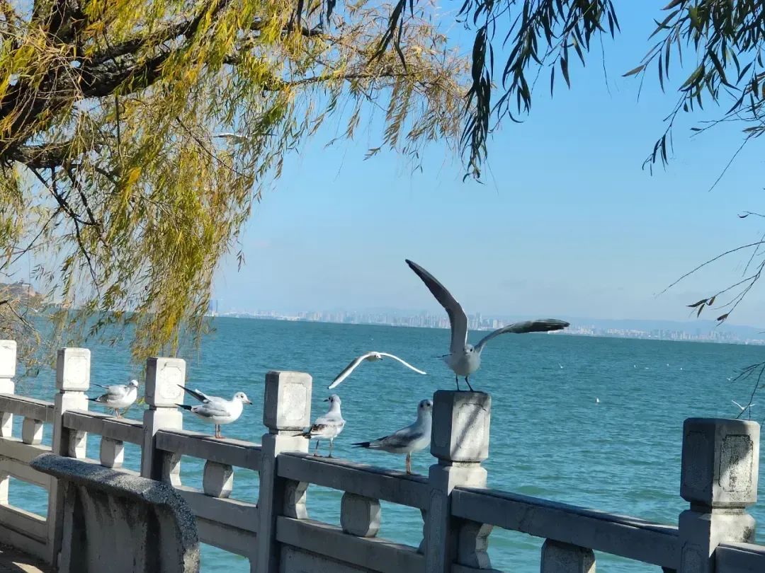 昆明广播电视台经济生活频道